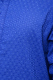 Blue Kurta for men